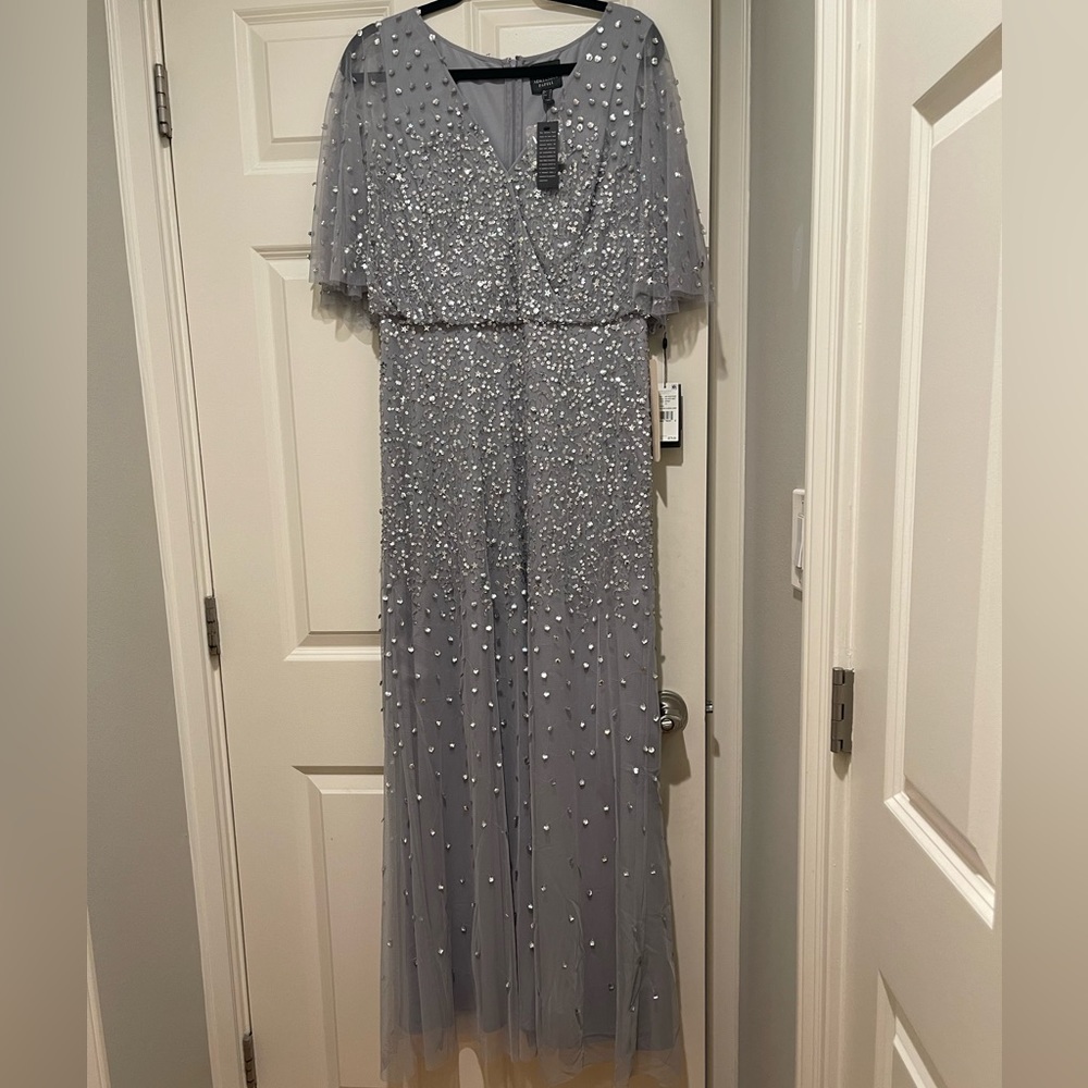 NWT Stunning silver dress (VIDEO INCLUDED) (Size 10) - Picture 1 of 4